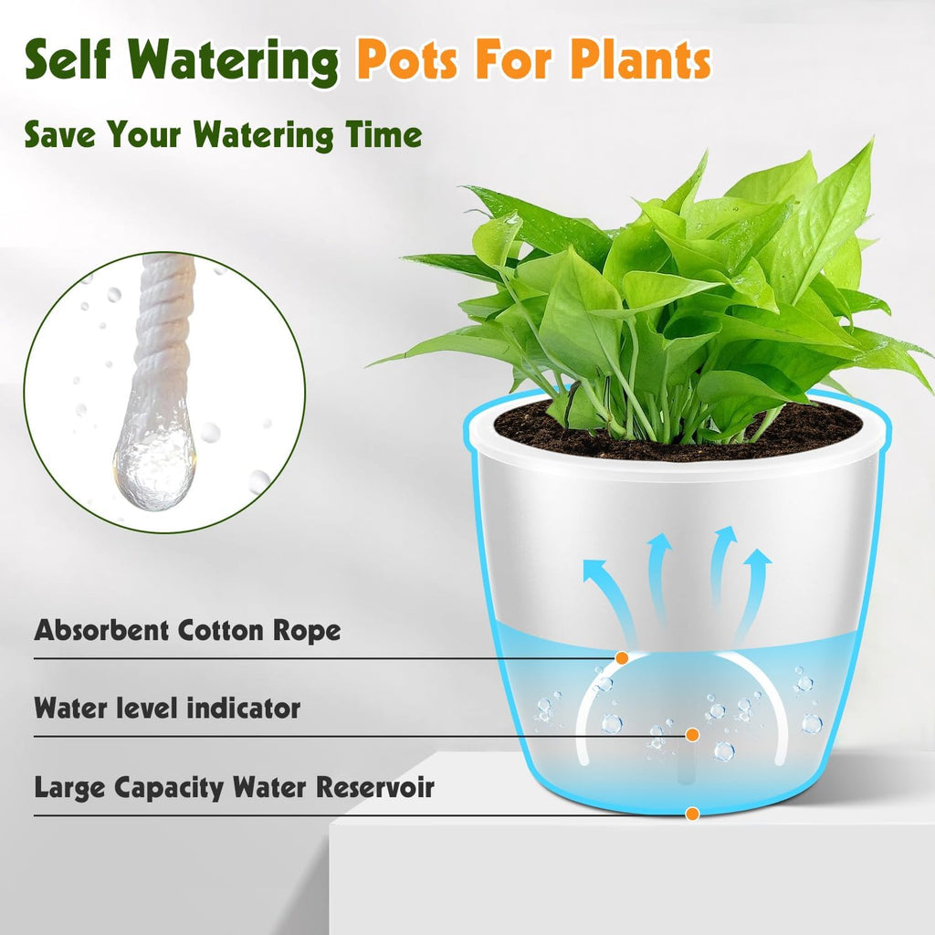 Self Watering Pots for Indoor Plants, 6-Pack 5'' Self Watering Planter with Drainage Holes, Small African Violet Pots with Water Indicator, Clear Wick Orchid Pot, White