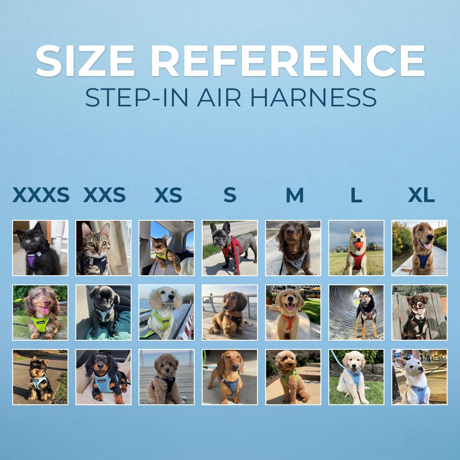 Voyager Step-In Air Harness - All Weather Mesh, Reflective, No Pull Harness for Dogs, Cats - Secure with Hook & Loop Fastener, Buckle, Double D-Rings - Fuchsia, S