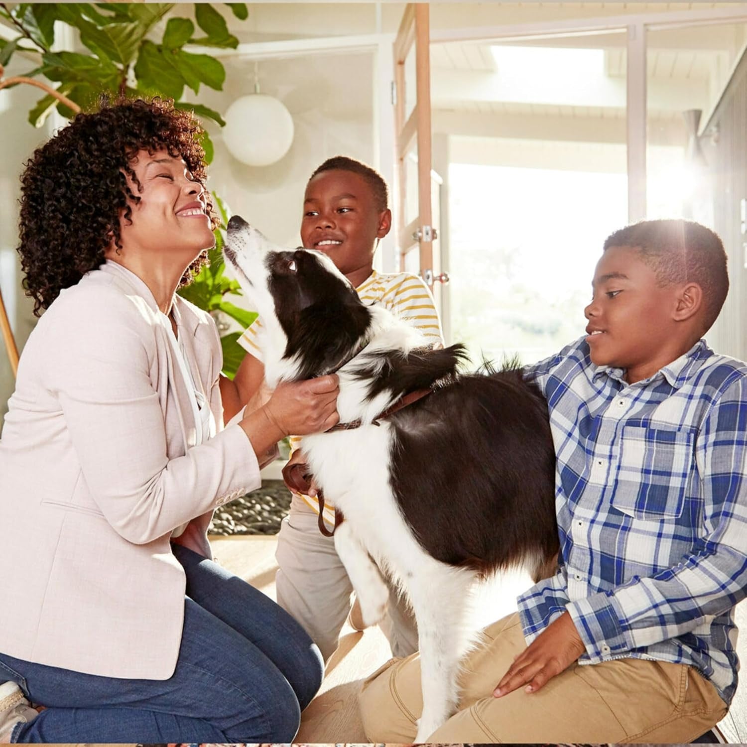 10X20X1 Air Filter, MPR 300, MERV 5, Clean Living Basic Dust 3-Month Pleated 1-Inch Air Filters, 6 Filters