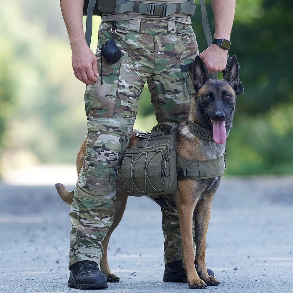 Dog Backpack for Hiking Nylon Dog Harness Backpack with Side Pockets for Large Dog with 17"-23.5" Neck Girth and 25"-31" Chest Girth (Green, Medium)