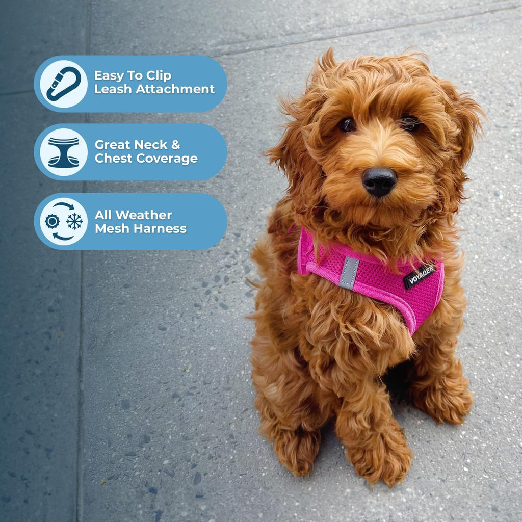 Voyager Step-In Air Harness - All Weather Mesh, Reflective, No Pull Harness for Dogs, Cats - Secure with Hook & Loop Fastener, Buckle, Double D-Rings - Fuchsia, S